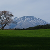 春よ来い