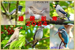 年賀状2024②03_R