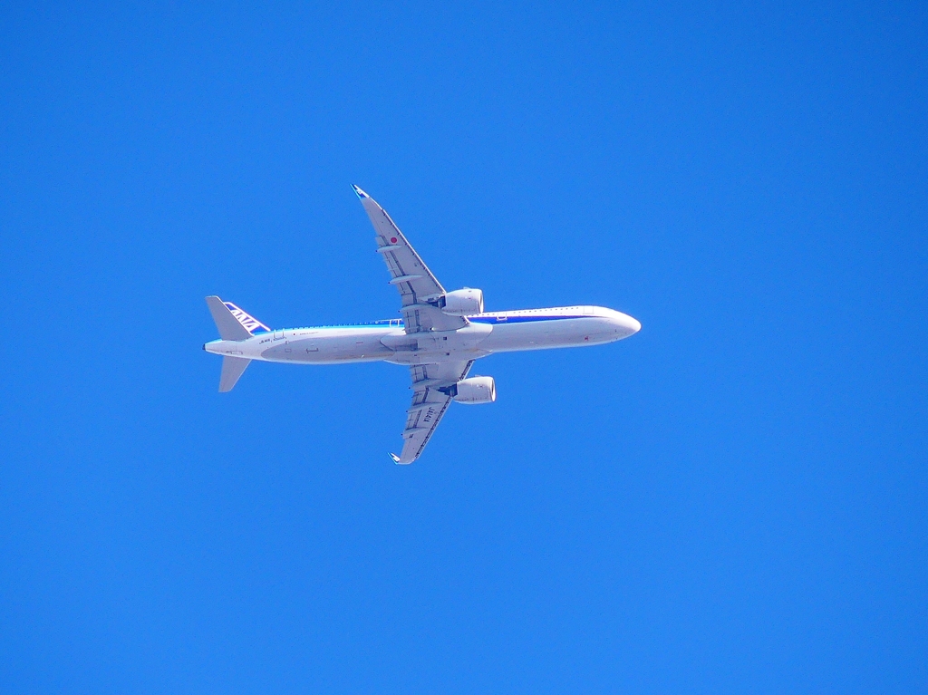 P3700361：ＡＮＡ機_R