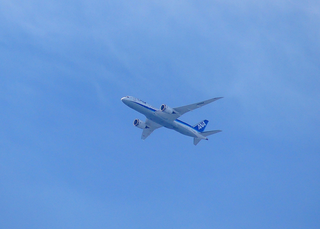 P4320629：ＡＮＡ機_R