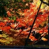 P4510436：紅葉_R