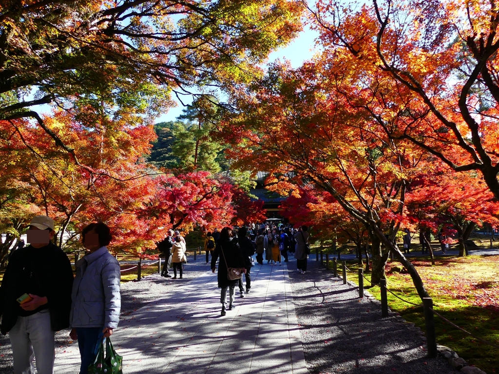 P1030339：南禅寺＜京都の紅葉＞_R