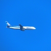 P4470582：ＡＮＡ機_R
