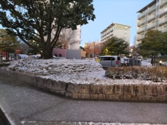 今朝の雪景色：DSC_0169
