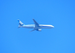 P2020325：ＡＮＡ_R