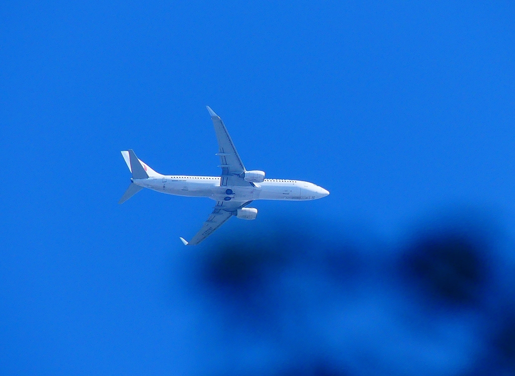 P4420142：ＪＡＬ機_R