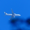 P4420142：ＪＡＬ機_R