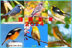 年賀状2024②01_R