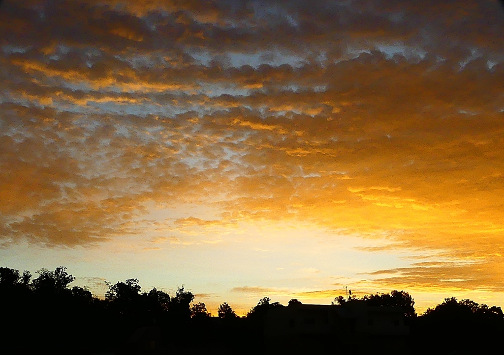 P1310010：朝焼け_R