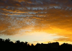 P1310010：朝焼け_R