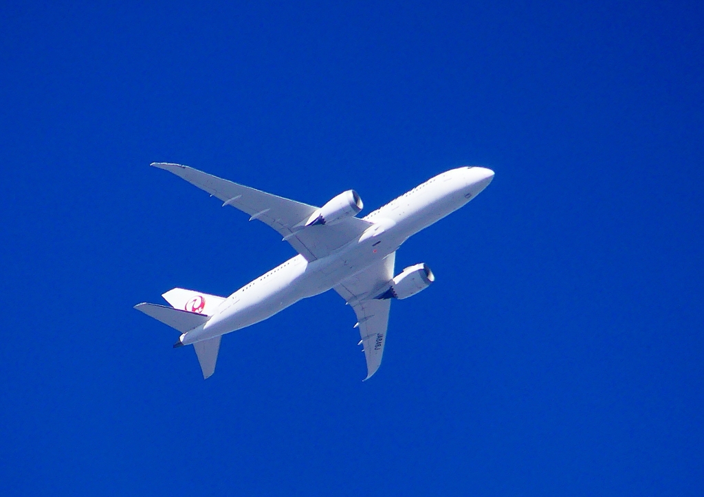 P1320962：ＪＡＬ機_R