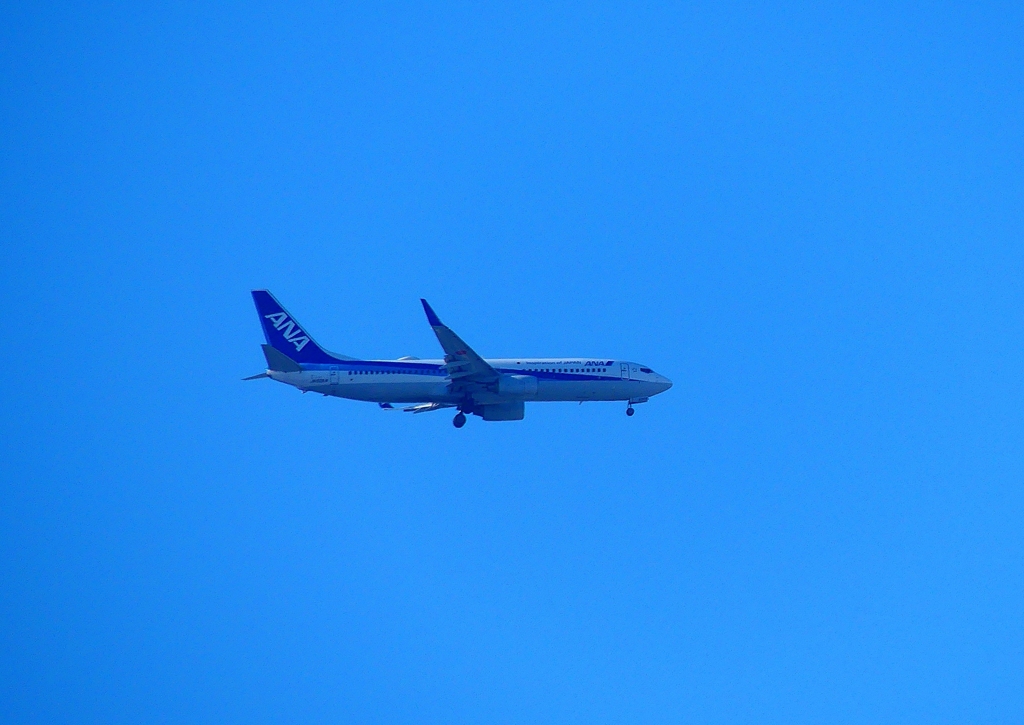 P3690363：ＡＮＡ機_R