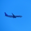 P3690363：ＡＮＡ機_R