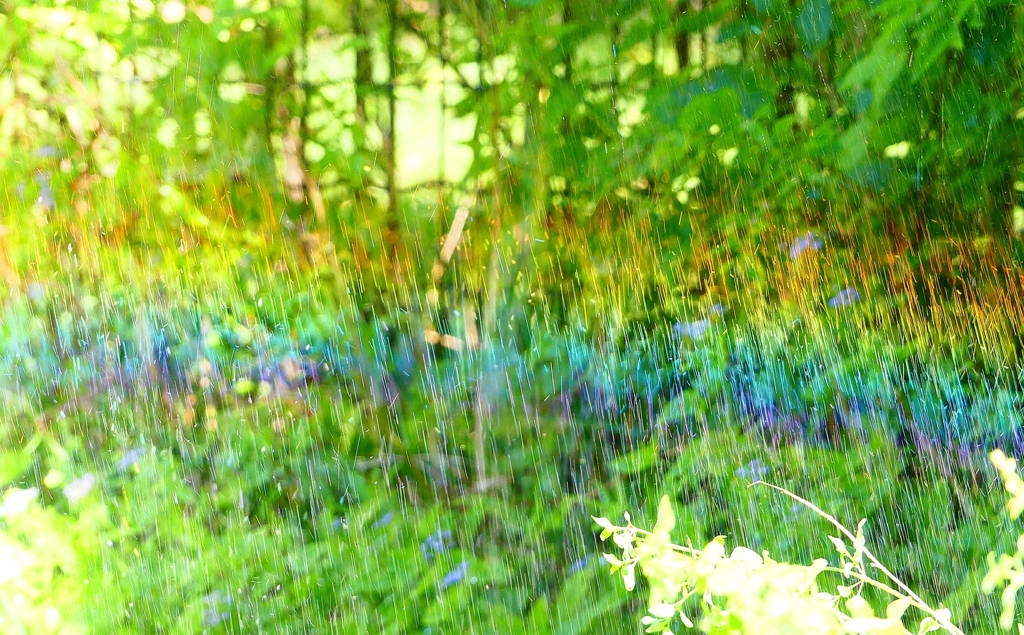 P4270098：散水の虹_R