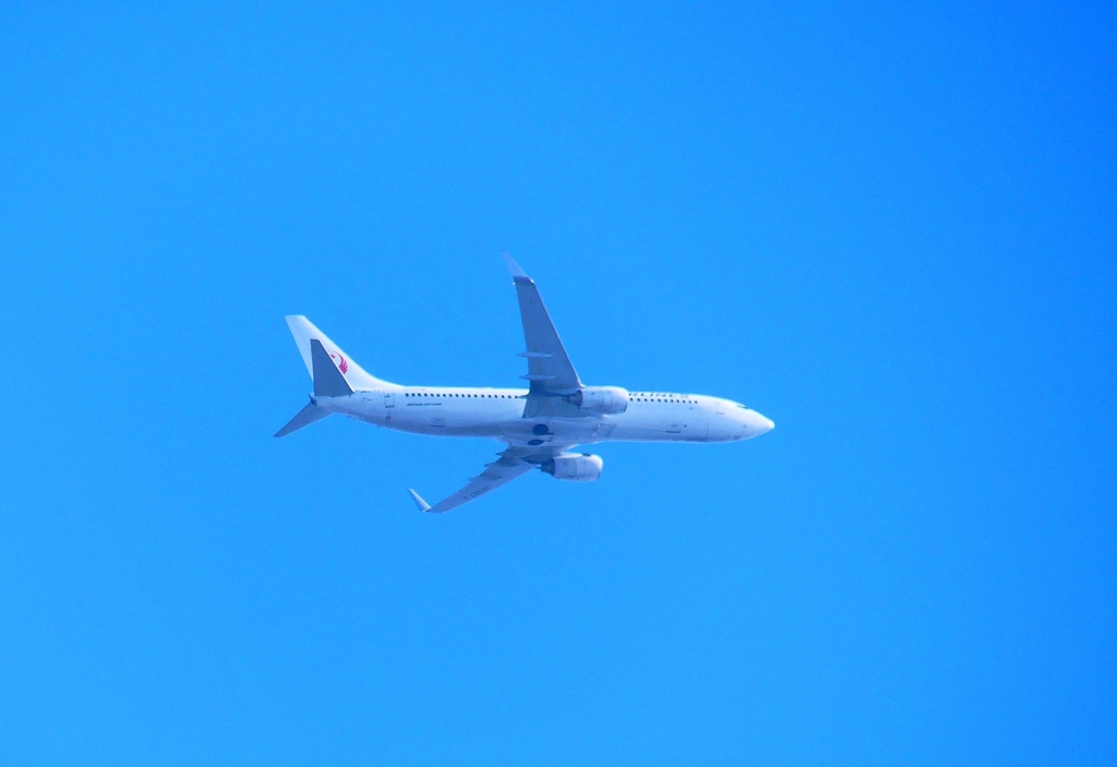 P4730460：ＪＡＬ機_R