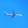 P4730460：ＪＡＬ機_R