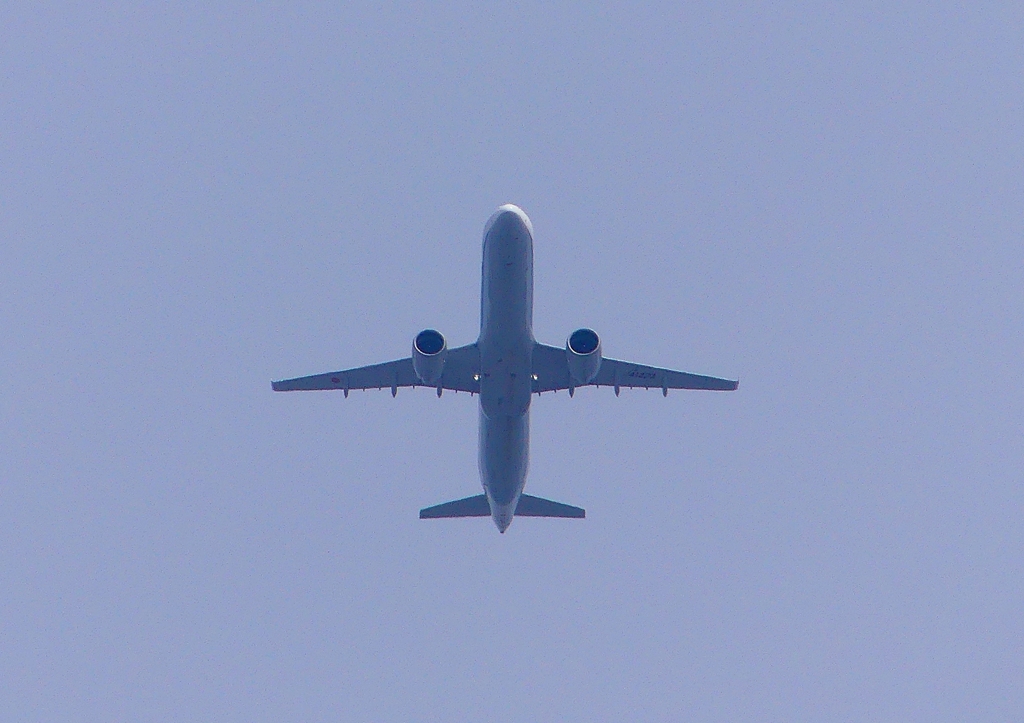 P1960799：飛行機_R