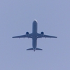 P1960799：飛行機_R