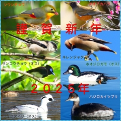 年賀状2025④２_R