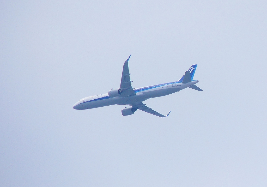 P4300348：ＡＮＡ機_R