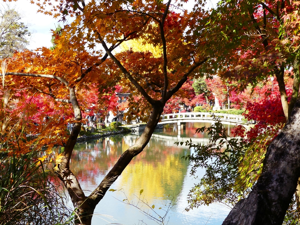 P1030544：永観堂＜京都の紅葉＞_R