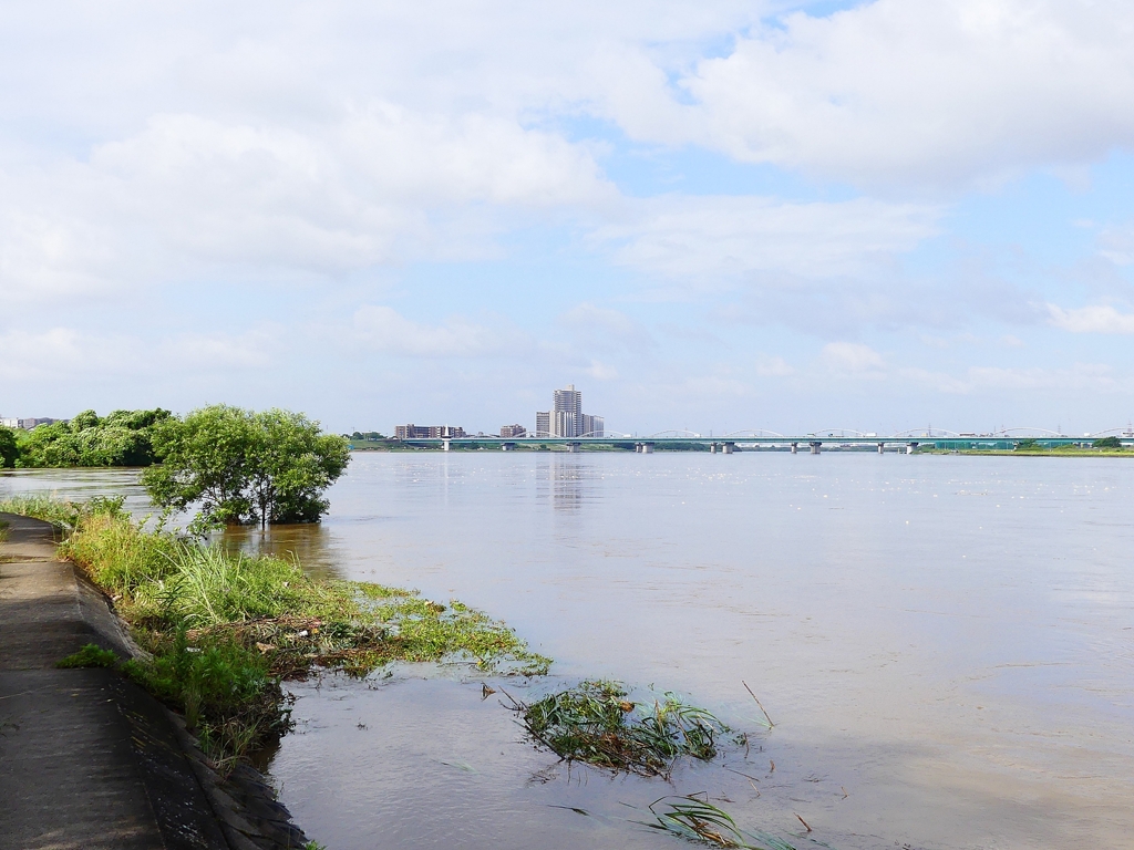 P4150568：増水した川_R