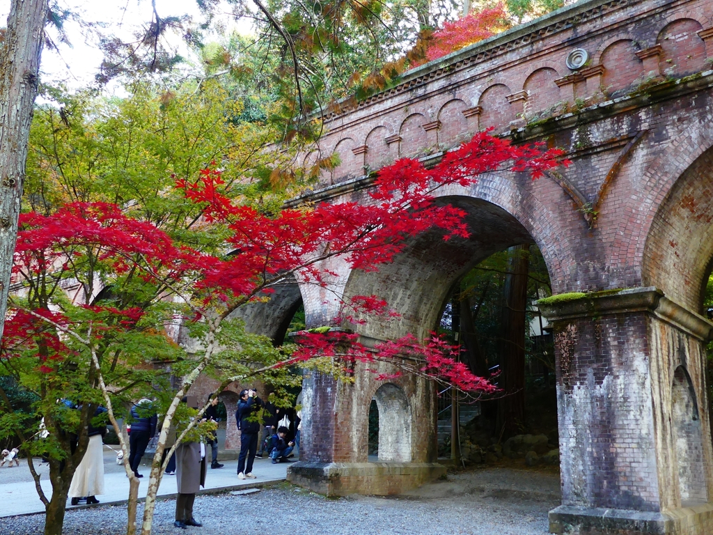 P1030382：南禅寺＜京都の紅葉＞_R