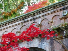 P1030377：南禅寺＜京都の紅葉＞_R