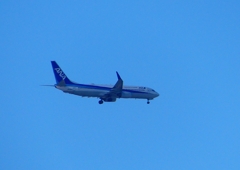 P1320762：ＡＮＡ機_R