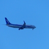 P1320762：ＡＮＡ機_R
