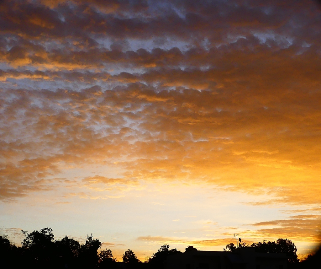 P1310012：朝焼け_R