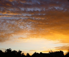 P1310012：朝焼け_R