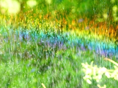 P4270082：散水の虹_R