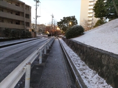 今朝の雪景色：DSC_0167