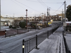 今朝の雪景色：DSC_0184