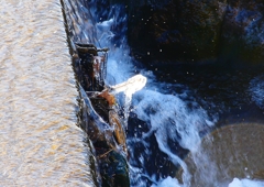 P1710665：凍てつく川_R