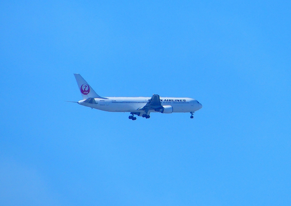 P1320950：ＪＡＬ機_R