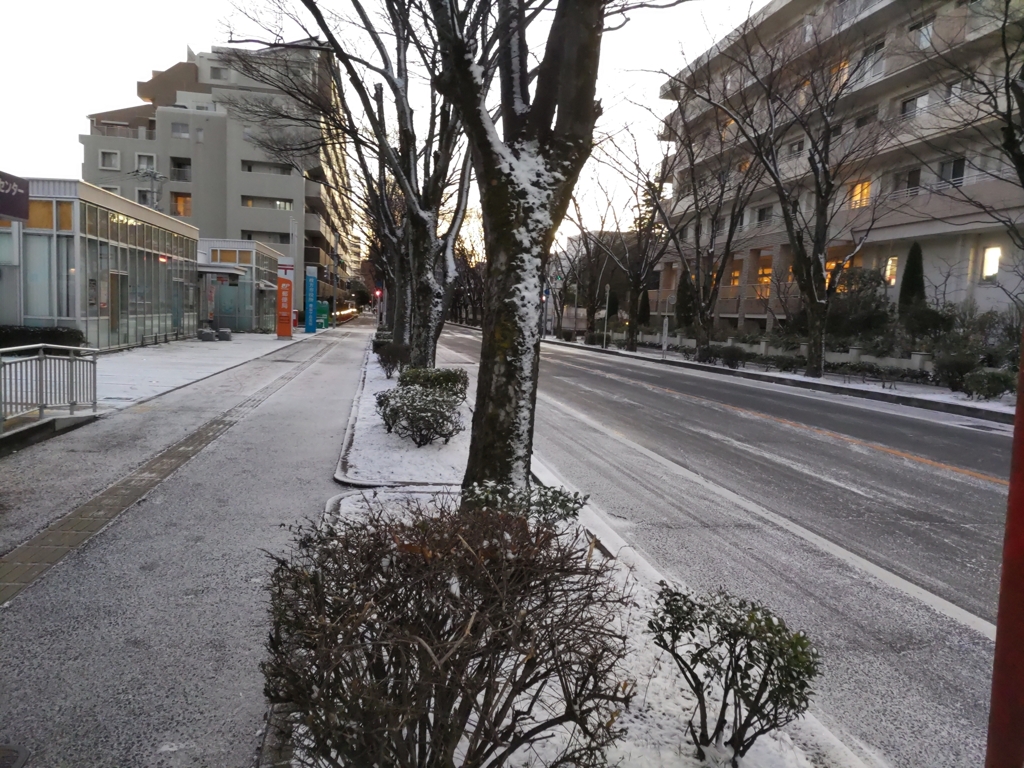 通りの雪：DSC_0181