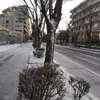 通りの雪：DSC_0181