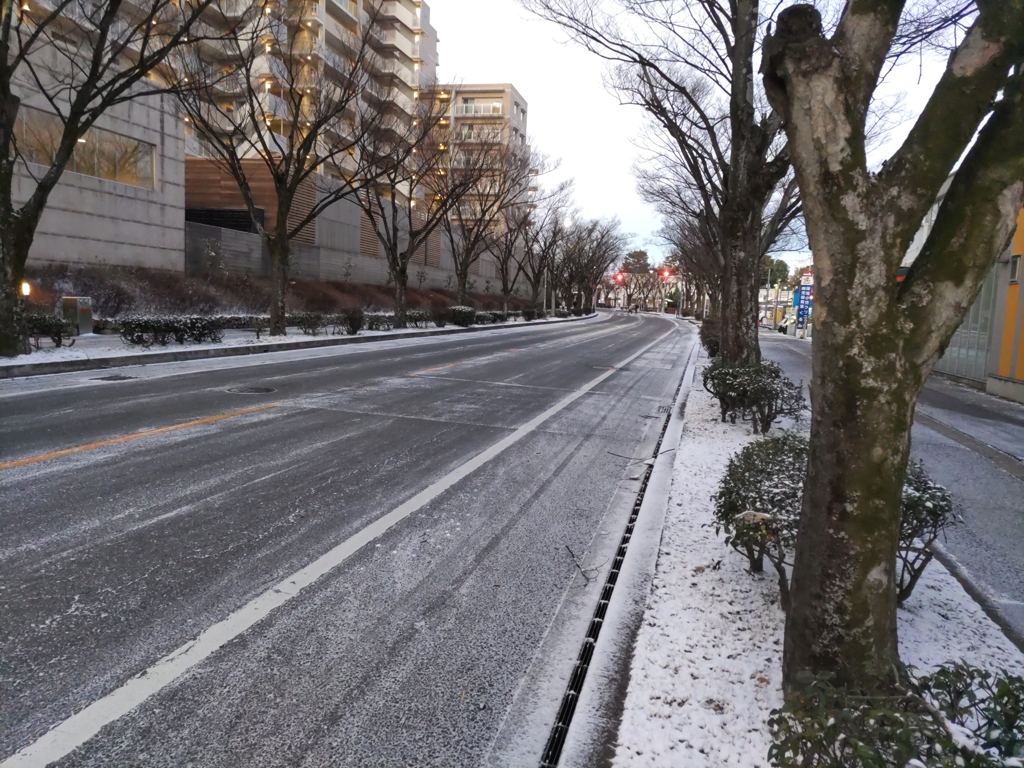 通りの雪：DSC_0179