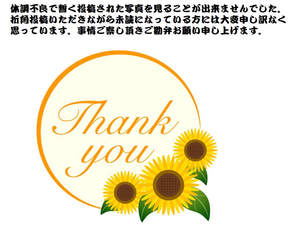 申し訳ございません240325
