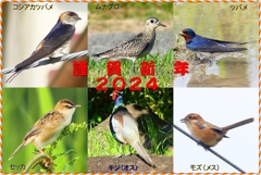 年賀状2024②08_R
