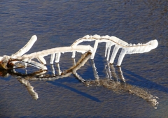 P1710662：凍てつく川_R