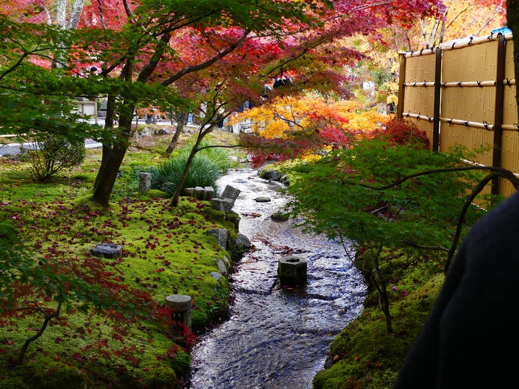 P1030573：永観堂＜京都の紅葉＞_R