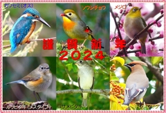 年賀状2024②02_R