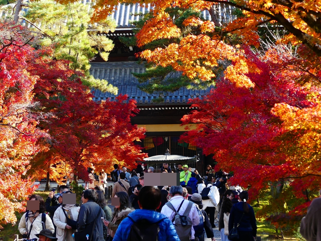 P1030338：南禅寺＜京都の紅葉＞_R