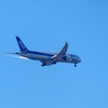 P4580014：ＡＮＡ機_R