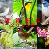 年賀状2025①２_R