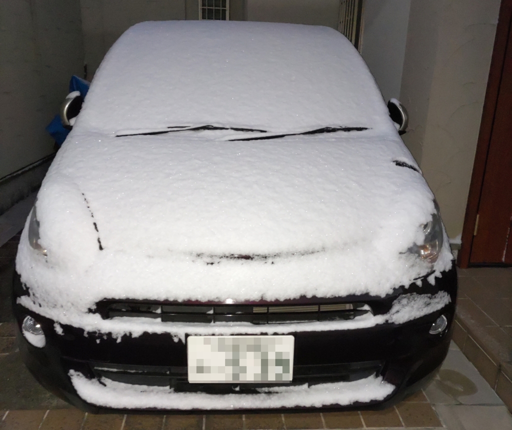 マイカーに積もった雪：DSC_0163