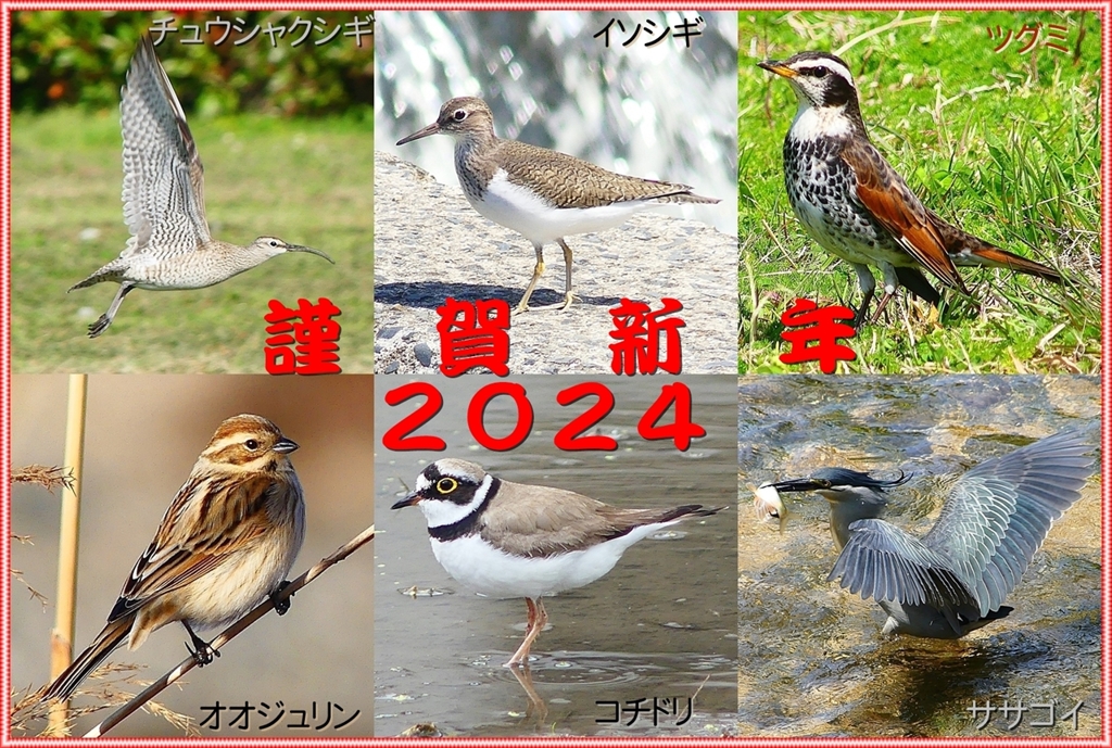 年賀状2024②11_R